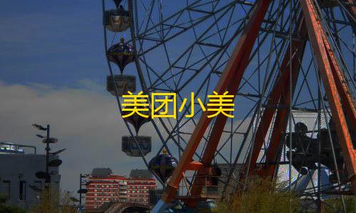 我的世界网易版下载美团小美